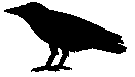 Old Crow Models logo